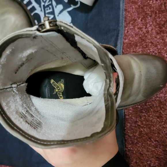 FreeBird - Picture 4 of 5